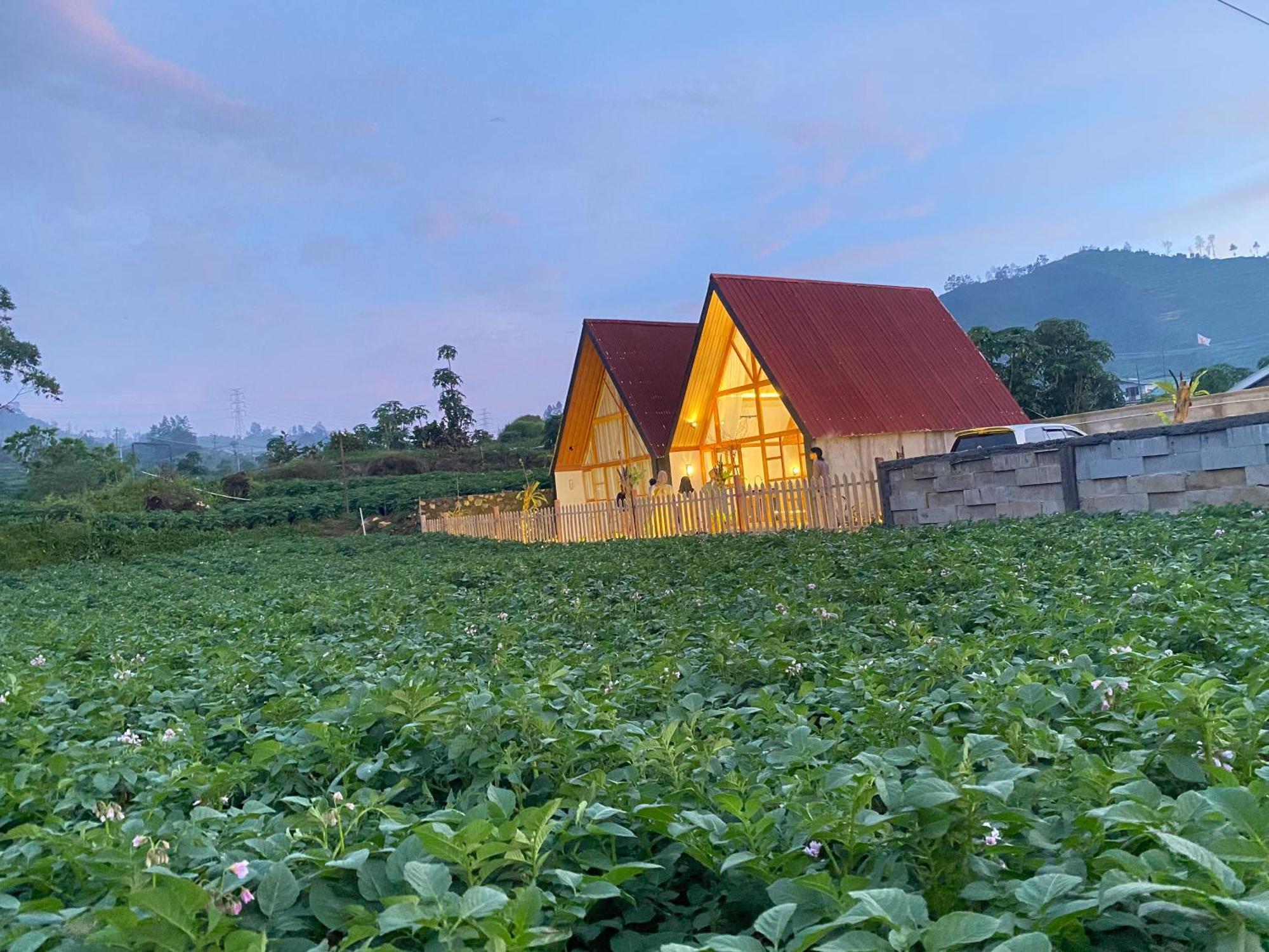 Martos Villa Dieng Diyeng 외부 사진